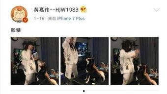 娱乐圈吃瓜爆料二次元,二次元吃瓜爆料大揭秘